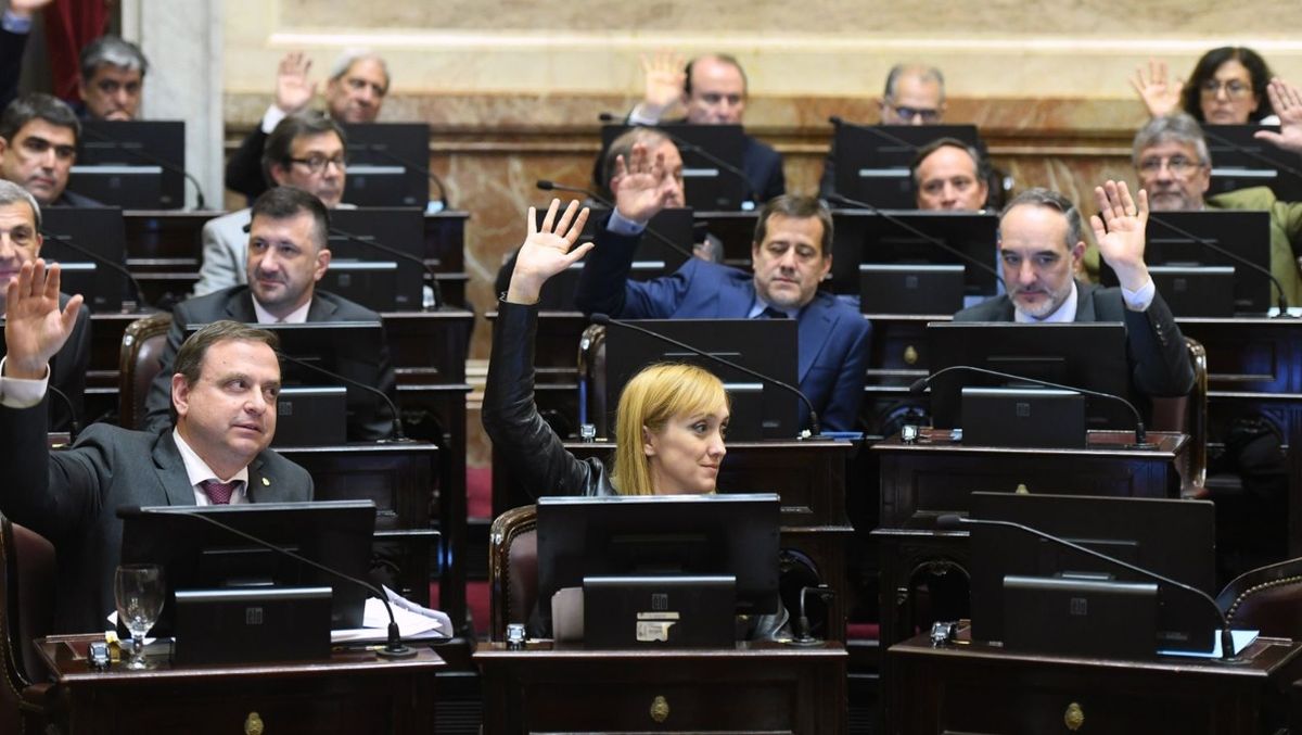 Sagasti votando junto a sus colegas este miércoles en el Senado Nacional.