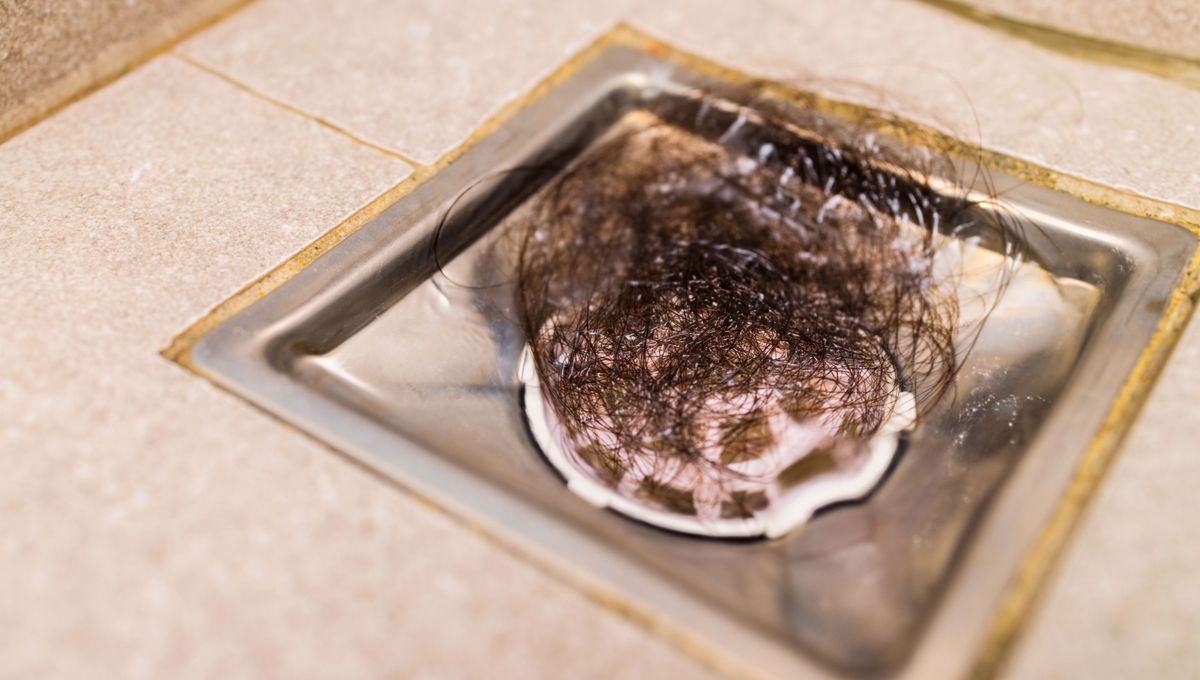 Chau pelos en las cañerías del baño