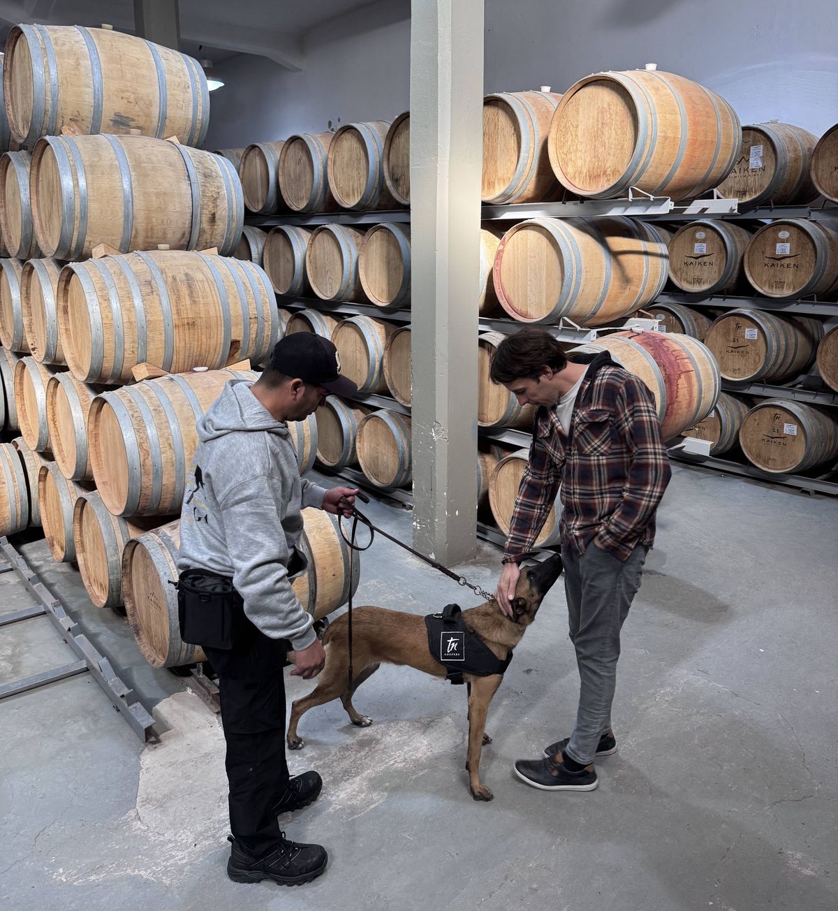 El perro actúa como un escáner en tiempo real que apunta directamente al foco del problema en las bodegas. El perro actúa como un escáner en tiempo real que apunta directamente al foco del problema en las bodegas.