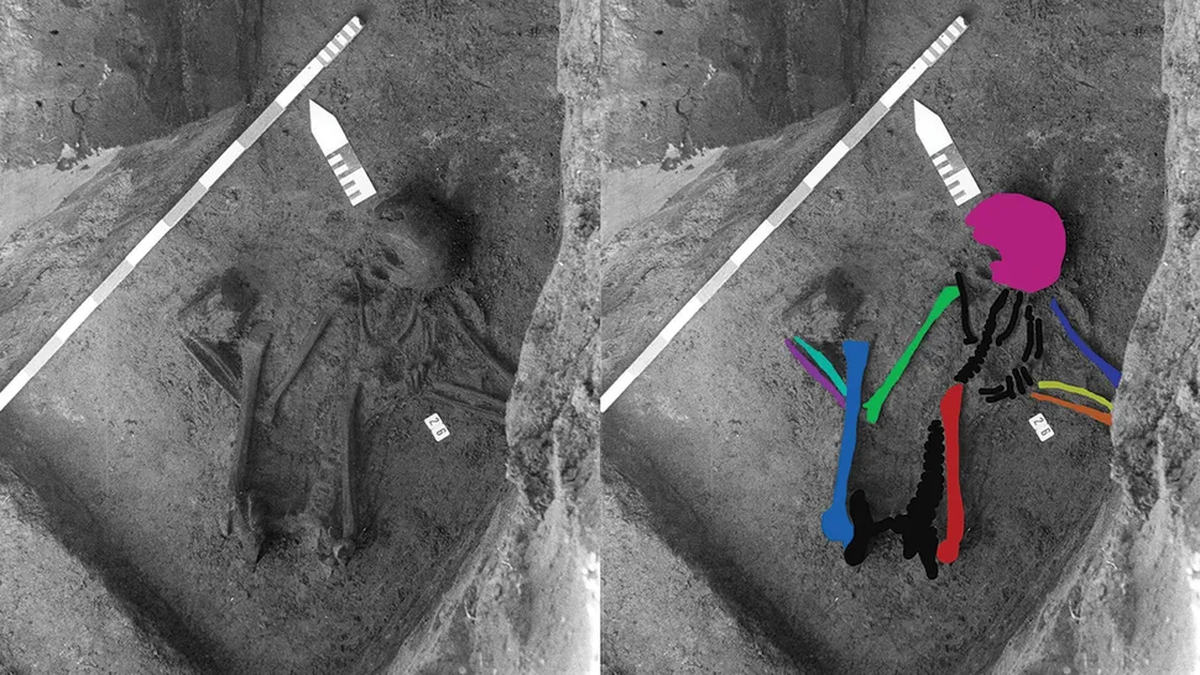 El descubrimiento se realizó en Bélgica.