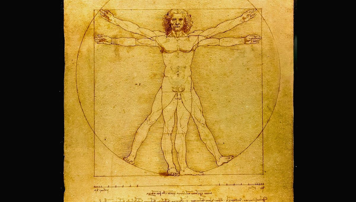 Investigadores reconstruyen el árbol genealógico de Da Vinci hasta 1331 y validan la continuidad genética masculina en quince generaciones Investigadores reconstruyen el árbol genealógico de Da Vinci hasta 1331 y validan la continuidad genética masculina en quince generaciones