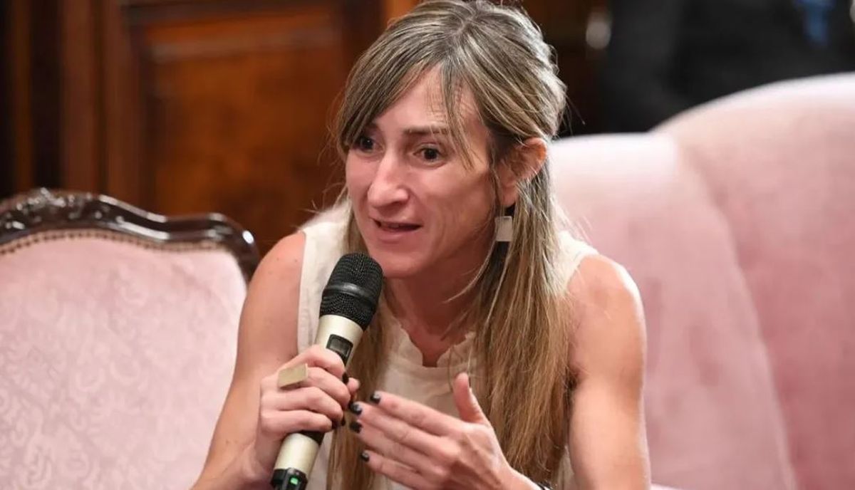 Mercedes Llano dio por cierto el plan de desinformación ruso y presentó un proyecto de repudio