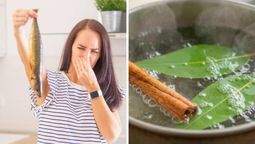 Cómo eliminar los malos olores en la cocina con eucalipto o canela y azúcar