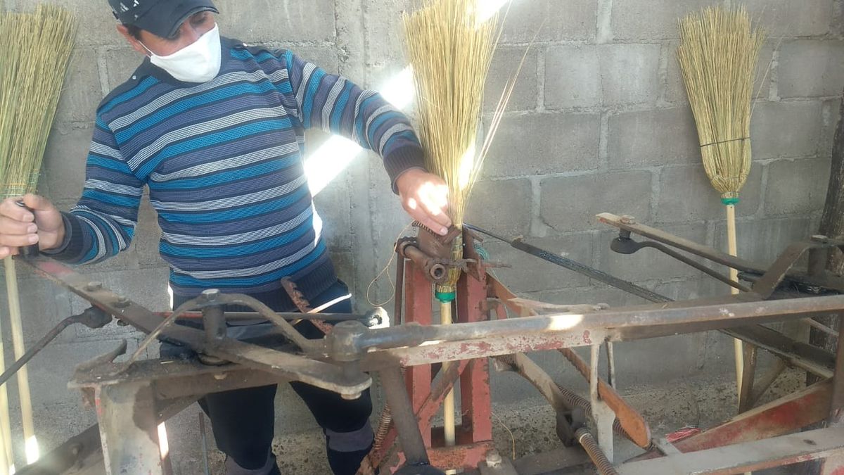 El antiguo y eterno oficio de cortar junquillo y fabricar escobas