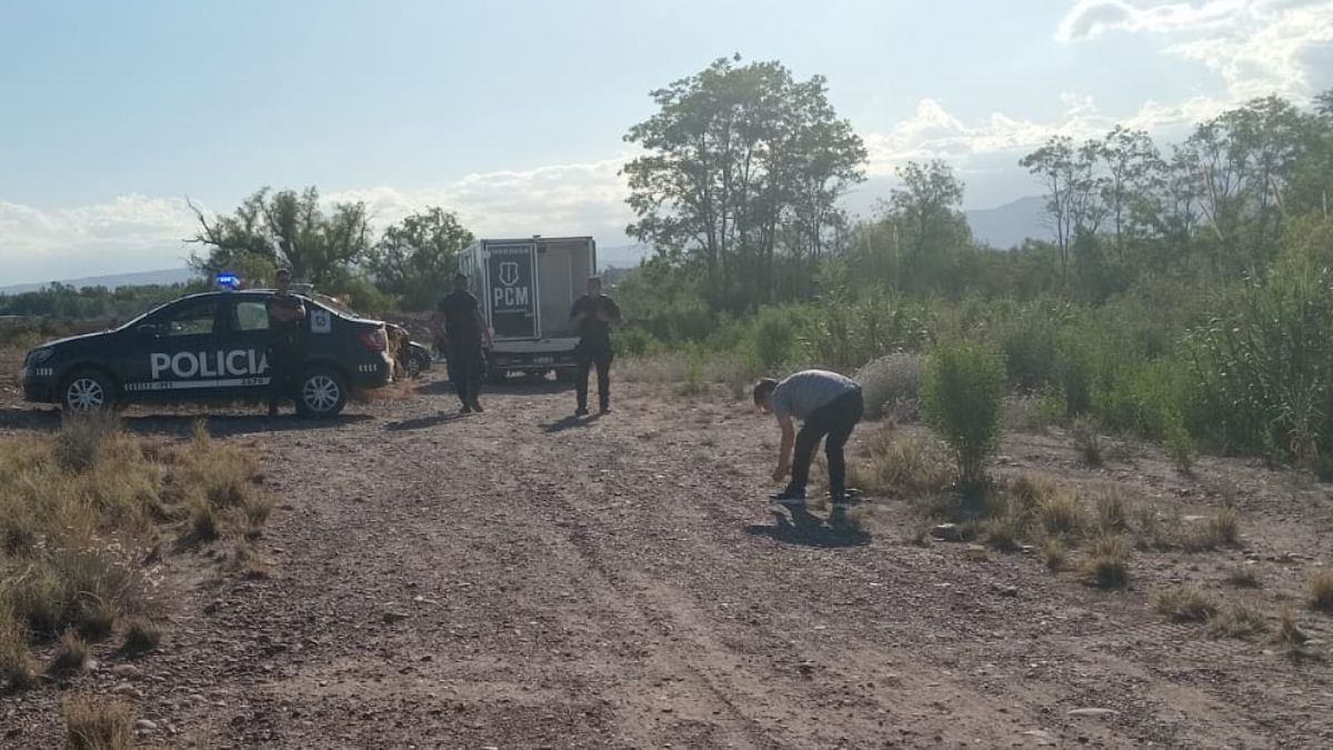 La víctima vivía con su pareja de 90 años en Maipú y cuando su cuidadora se fue aprovechó para irse de su casa. La víctima vivía con su pareja de 90 años en Maipú y cuando su cuidadora se fue aprovechó para irse de su casa.