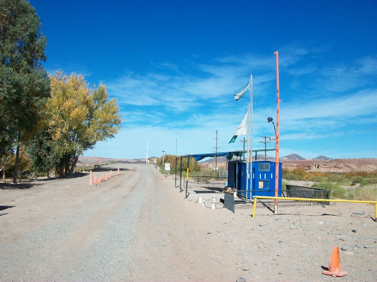 Pata Mora comenzó a idearse hace más de cuatro años, con una visión a largo plazo.&nbsp;