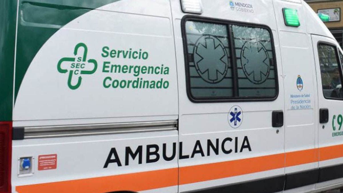 El Servicio de Emergencia Coodinado constat&oacute; el fallecimiento del accidentado.