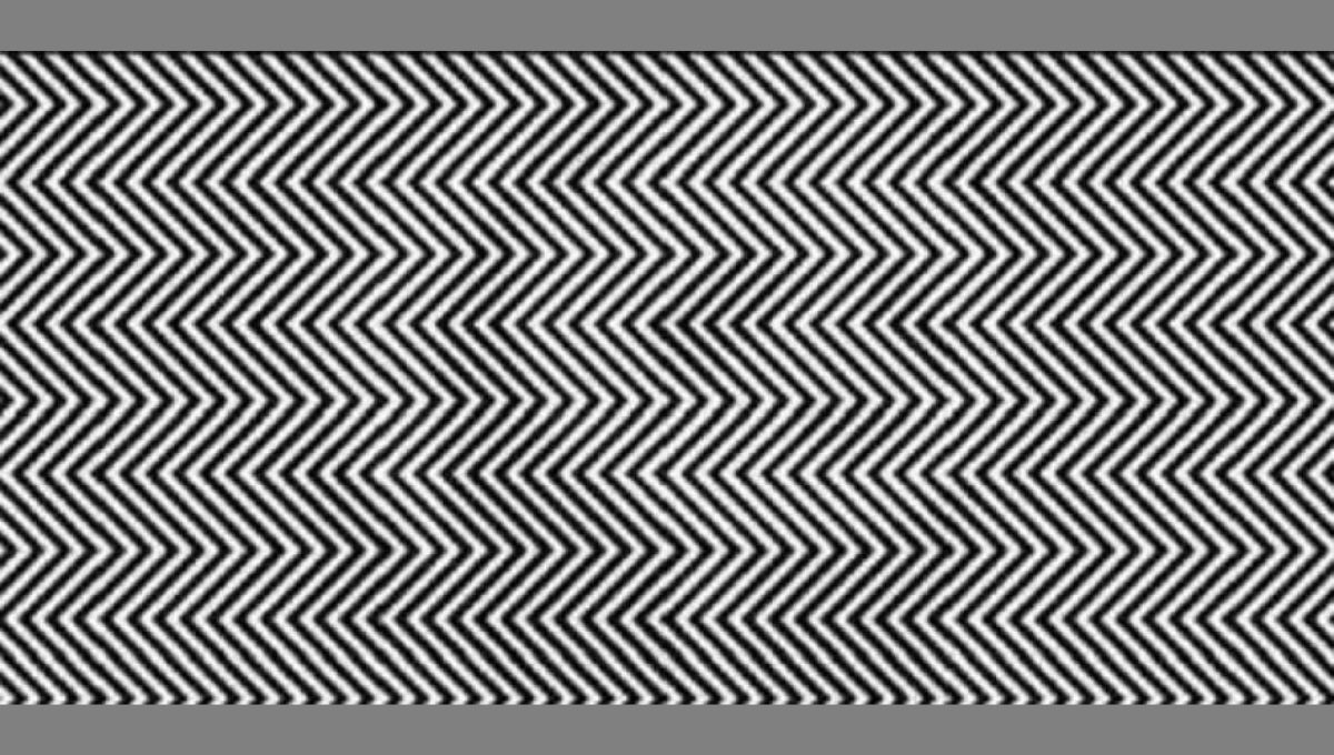 Observa con cuidado: ¿qué se esconde ante tus ojos? Observa con cuidado: ¿qué se esconde ante tus ojos?