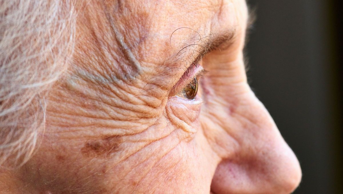 Los indicadores más leales para medir el envejecimiento de tu cuerpo, según expertos. Fuente Canva