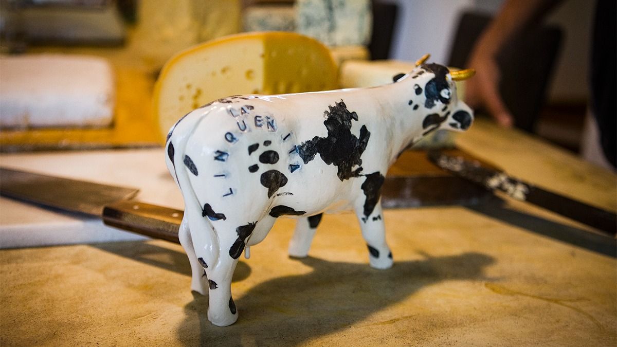 La vaca de La Linqueñita, la marca del abogado y quesero.