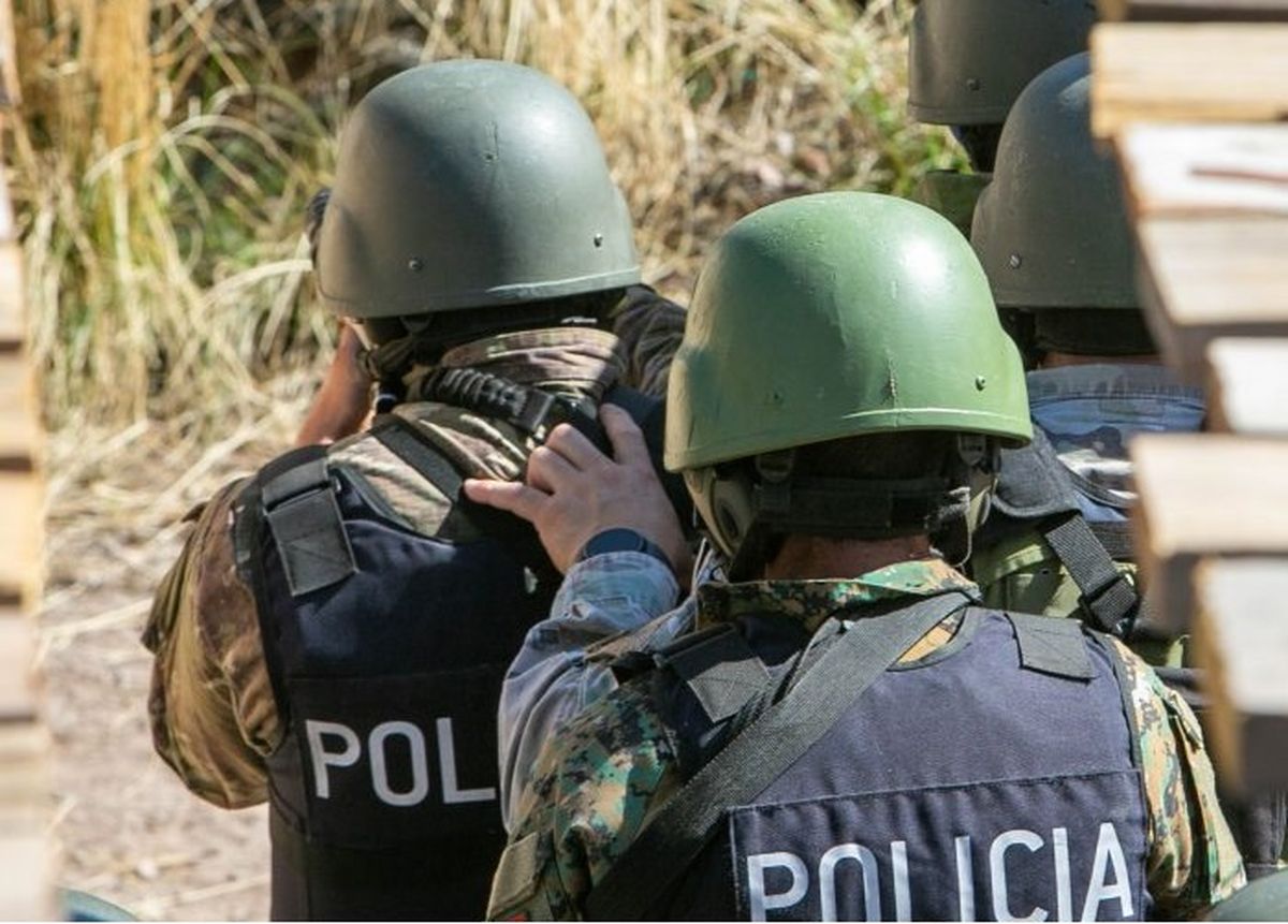 La Fuerza de Operaciones Especiales (FOE) ya intervino en 12 situaciones en lo que va del 2025. La Fuerza de Operaciones Especiales (FOE) ya intervino en 12 situaciones en lo que va del 2025.