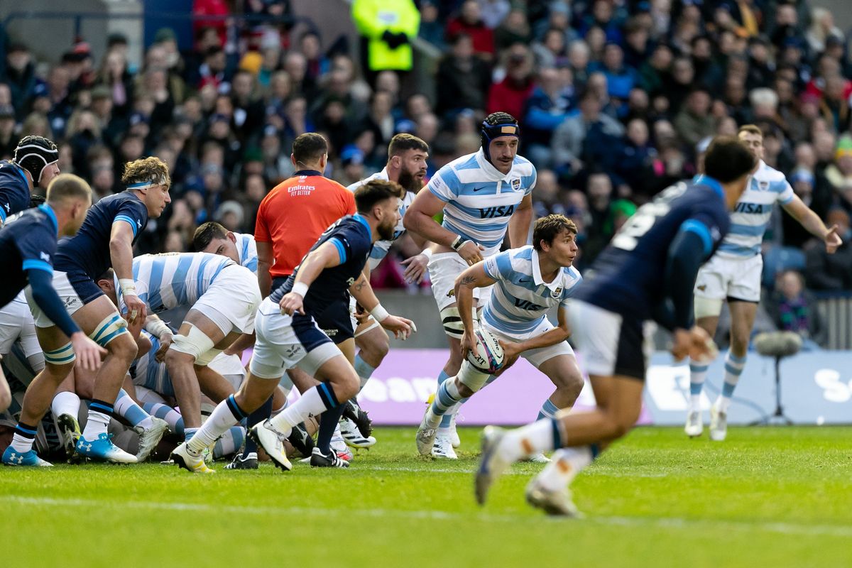 Gonzalo Bertranou, medio scrum de Los Pumas, en pleno ataque ante Escocia