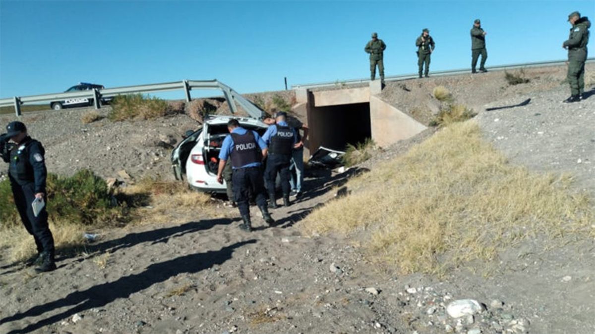 El conductor mordió la blanquina, perdió el dominio del vehículo y chocó contra un guardarrail en la ruta 40, en Malargüe.