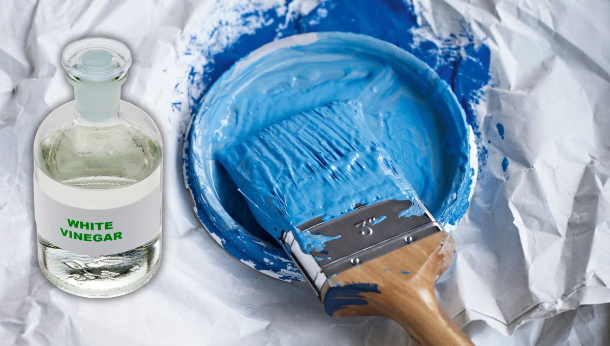 Utiliza vinagre destilado para que la limpieza sea más profunda. Utiliza vinagre destilado para que la limpieza sea más profunda.