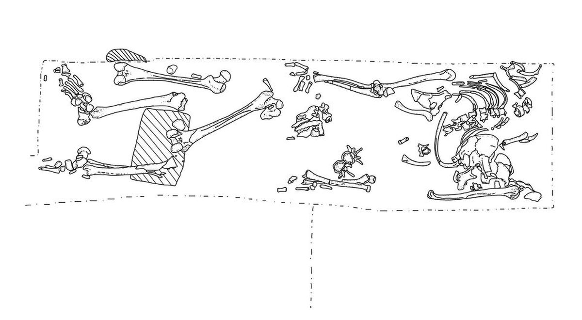 La tumba tenía detalles muy extraños. La tumba tenía detalles muy extraños.