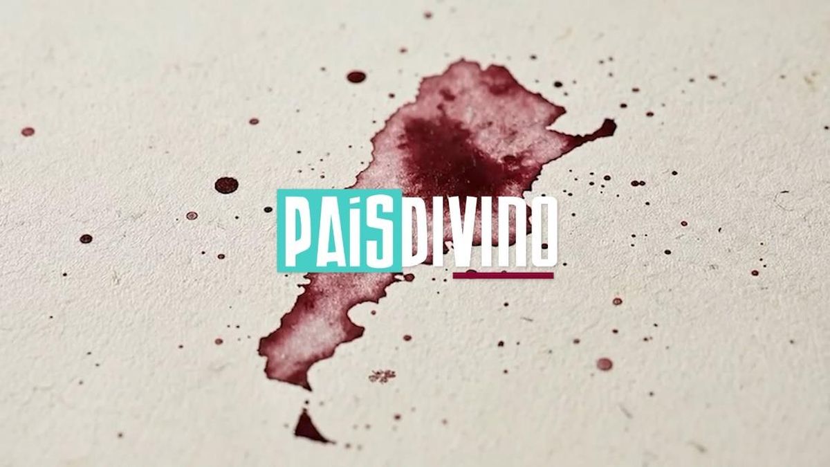 En el día del vino argentino, el Fondo Vitivinícola lanzó una miniserie sobre la bebida nacional