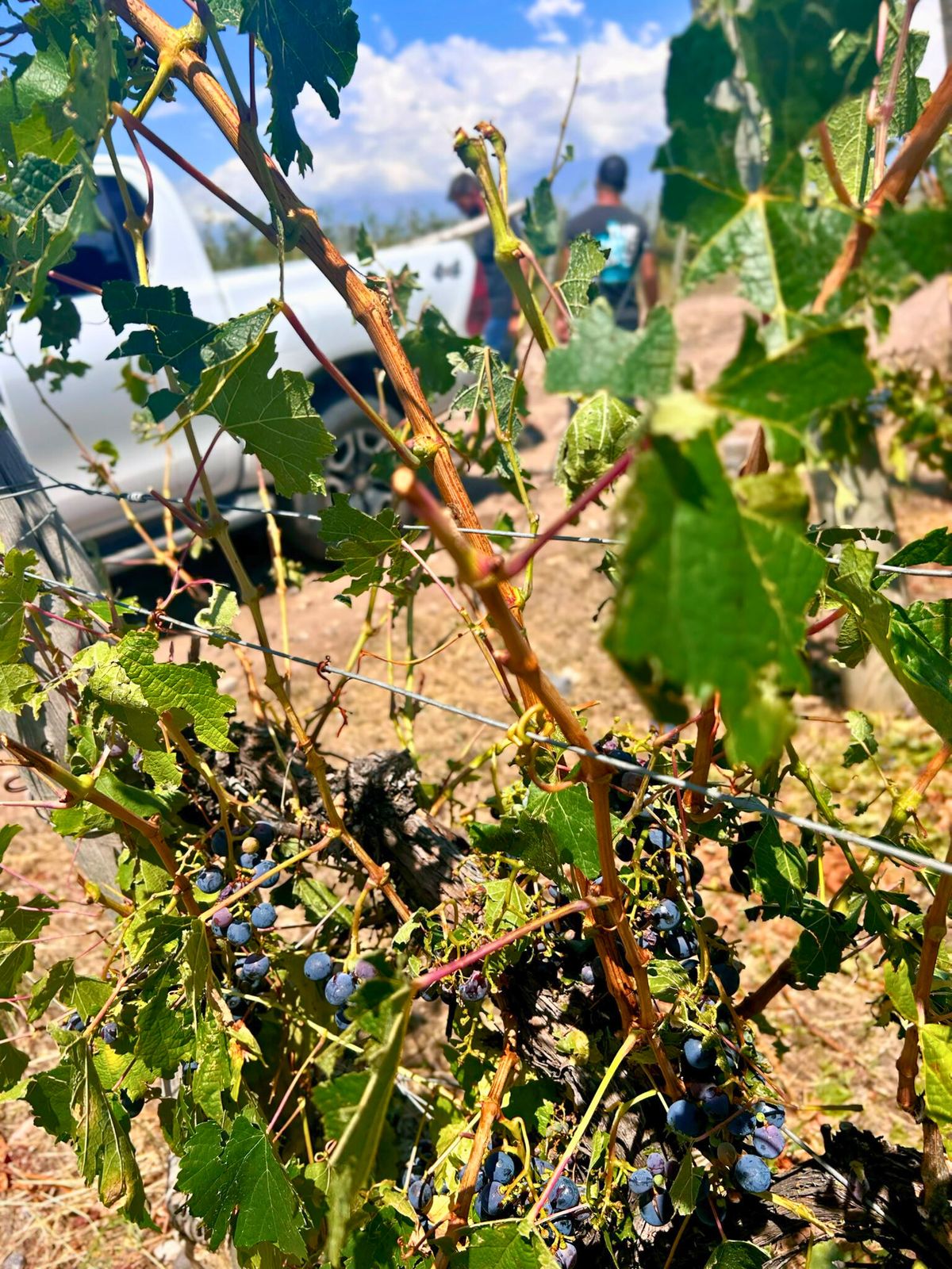 Una de las im&aacute;genes que comparti&oacute; Diego Stortini en su Facebook.