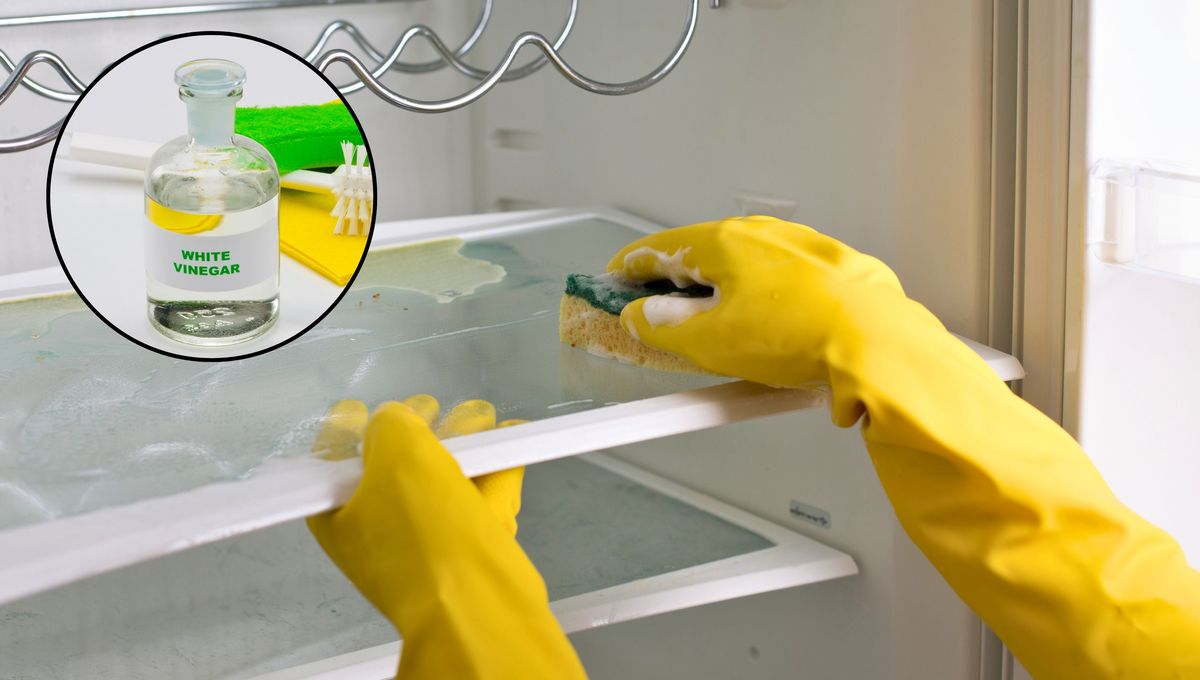 Paso a paso: cómo limpiar la heladera con vinagre y dejarla impecable