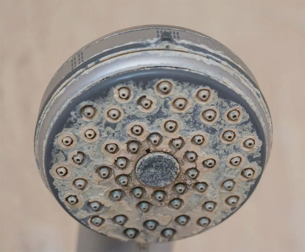 El sarro es dif&iacute;cil de limpiar cuando se apodera de la ducha del ba&ntilde;o.