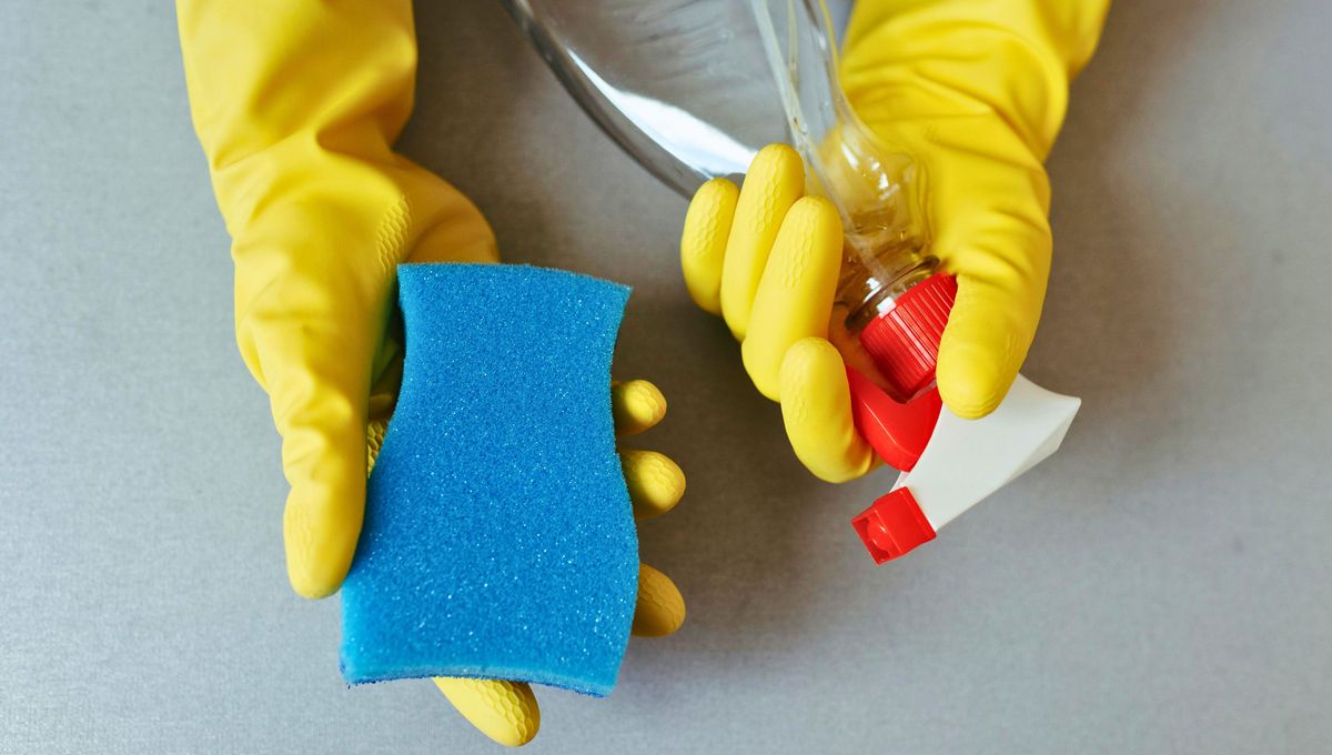 Si se trata de un caso de pulgas muy extremo, lo mejor es recurrir a un experto en el asunto. Si se trata de un caso de pulgas muy extremo, lo mejor es recurrir a un experto en el asunto.