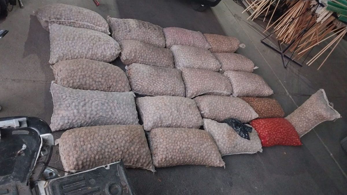 Las 19 bolsas de nueces eran 600 kilos de mercadería que se desconoce su procedencia.