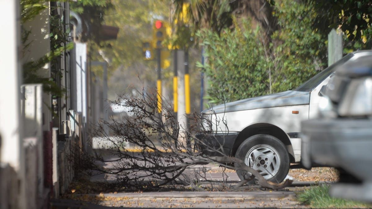 Defensa Civil emitió una alerta amarilla con probabilidad de ocurrencia de viento Zonda en algunos sectores de Mendoza.
