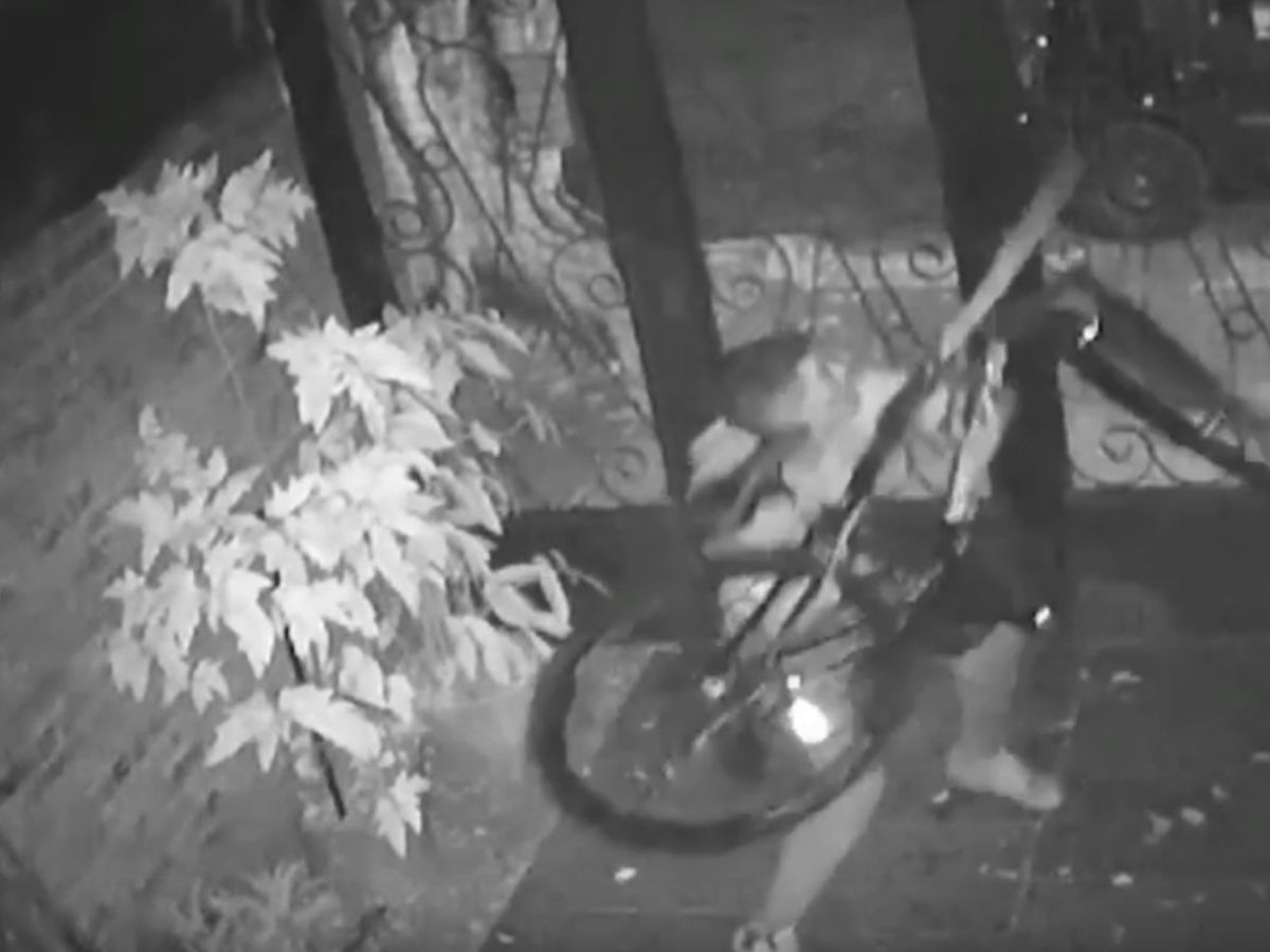 Ladrón golpeado: entró a robar una bicicleta en una casa, pero la familia lo ahuyentó a palazos Ladrón golpeado: entró a robar una bicicleta en una casa, pero la familia lo ahuyentó a palazos