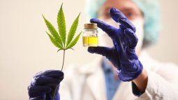 La Legislatura sancionó la Ley 9298 sobre el empleo del cannabis medicinal en Mendoza.