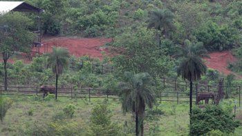 Brasil abre el primer refugio de elefantes de Latinoamérica