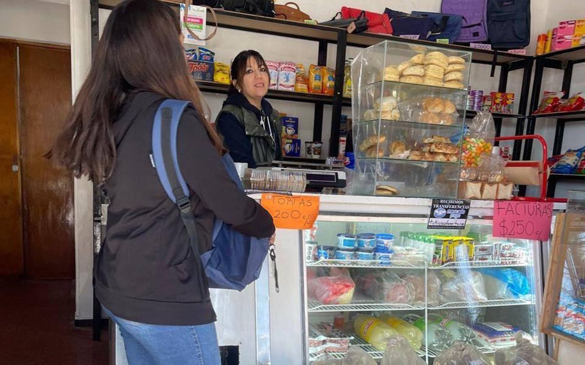 Janina Ortiz, la diputada suspendida que pasó de la Legislatura a atender un kiosco en Ciudad