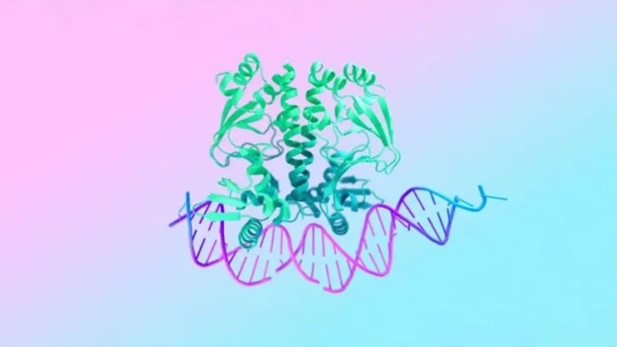 Google presentó una Inteligencia Artificial que revolucionará la medicina