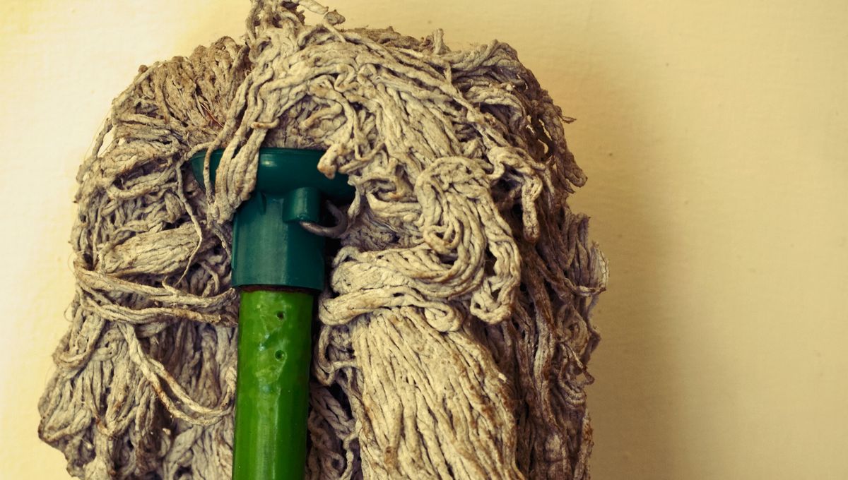 Si no limpiamos los lampazos y trapos de limpieza, siempre estamos removiendo la misma mugre en las superficies. Si no limpiamos los lampazos y trapos de limpieza, siempre estamos removiendo la misma mugre en las superficies. 