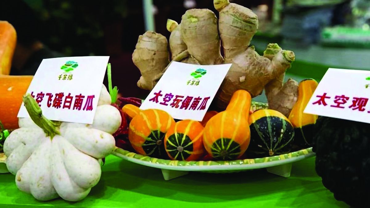 Los cultivos espaciales: resultados celestiales