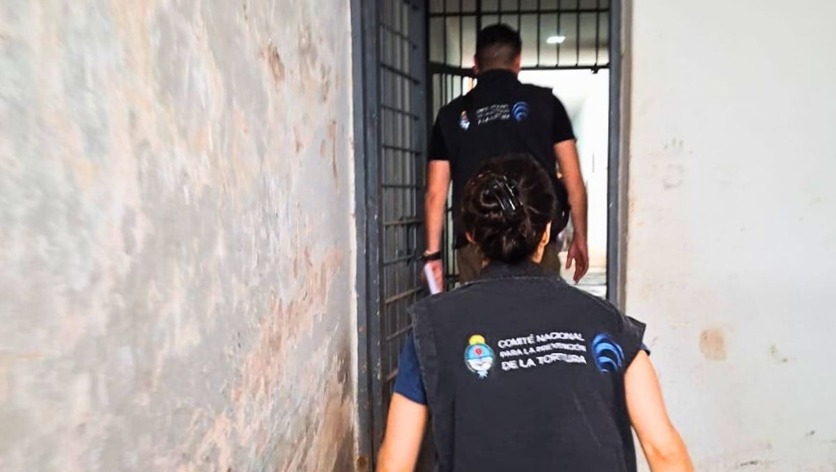 Tras la visita a cárceles, comisarías, residencias de adultos mayores, hogares de menores e institutos de salud mental, la comisión emite un informe. Tras la visita a cárceles, comisarías, residencias de adultos mayores, hogares de menores e institutos de salud mental, la comisión emite un informe.