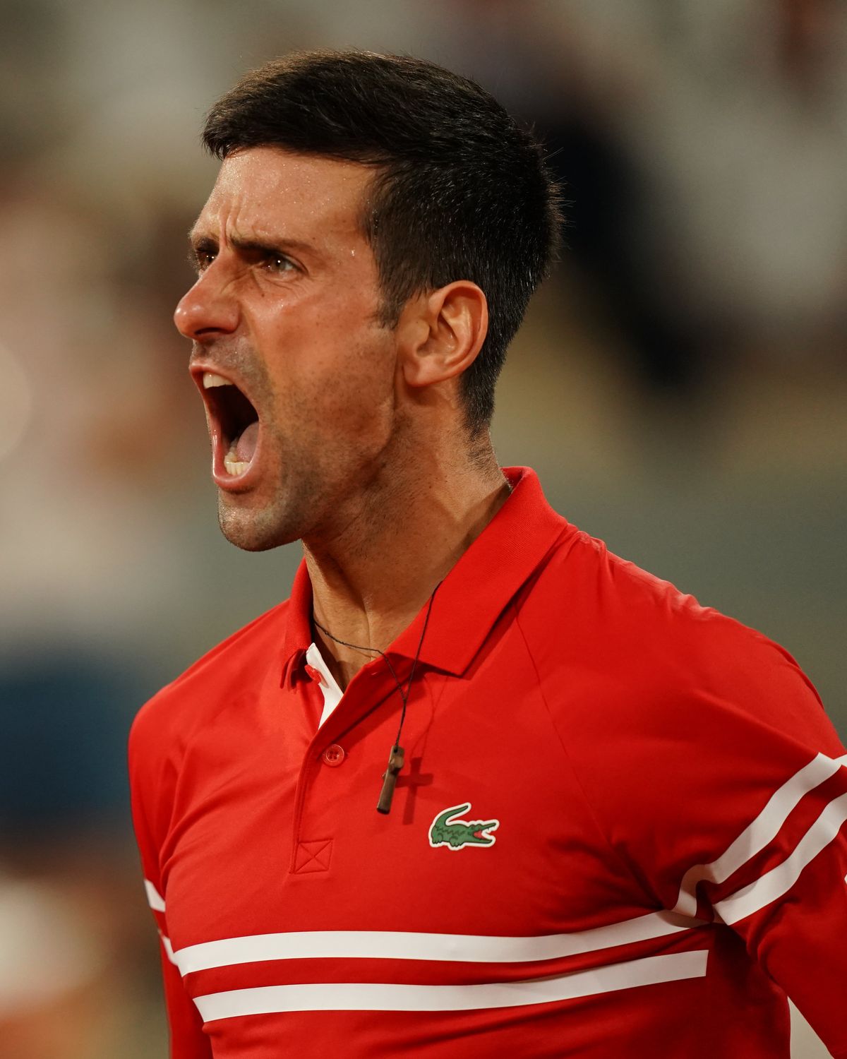Novak Djokovic avanz&oacute; a la final de Roland Garros tras ganarle a Rafael Nadal.