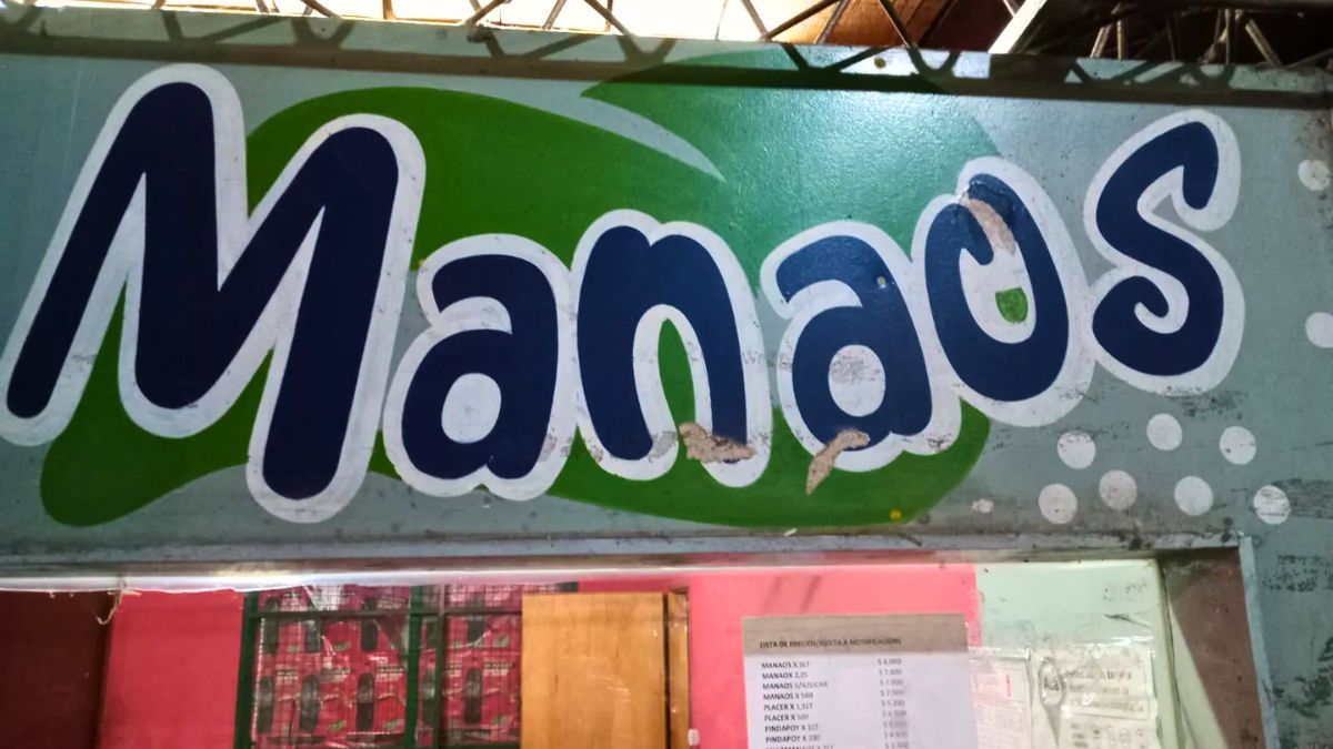 Manaos tiene tiempo hasta el 2 de marzo para presentar el recurso extraordinario contra el fallo de la Corte mendocina.