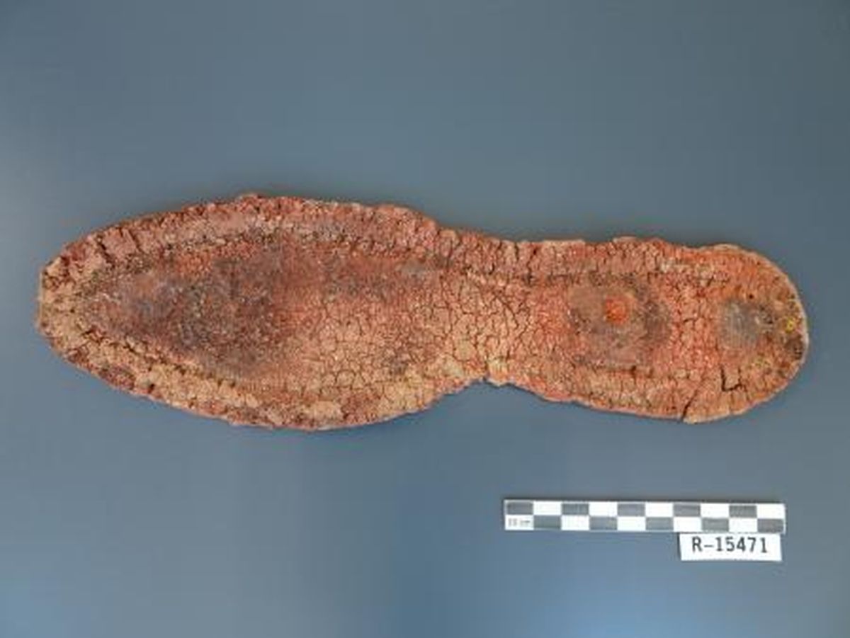 El descubrimiento es de un material poco estudiado en arqueología. El descubrimiento es de un material poco estudiado en arqueología.