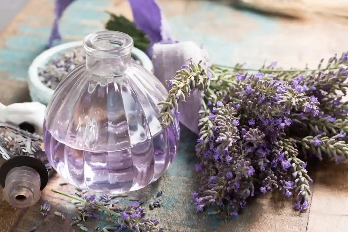 Así de fácil puedes hacer un aromatizante casero. Imagen: Freepik Así de fácil puedes hacer un aromatizante casero. Imagen: Freepik