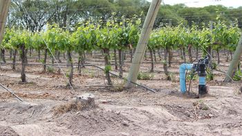 Los plazos que puso Irrigación para que usuarios de pozos implementen la telemedición de agua Los plazos que puso Irrigación para que usuarios de pozos implementen la telemedición de agua