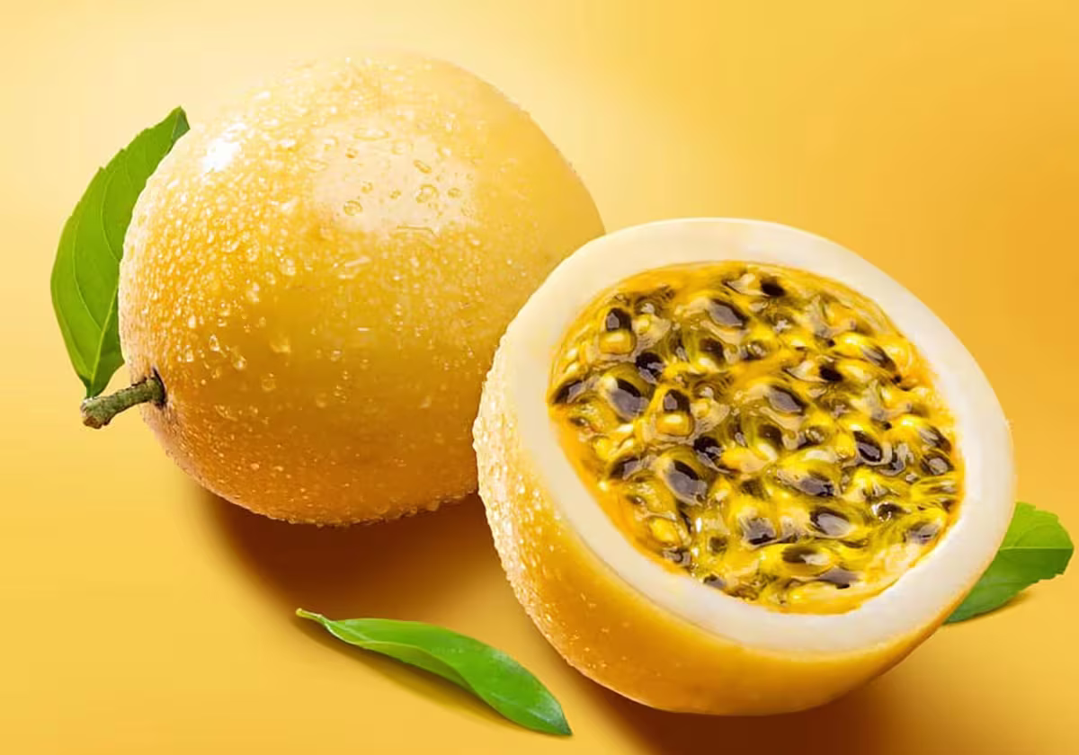 El maracuyá también es reconocida por sus efectos beneficiosos sobre el sistema nervioso. Contiene alcaloides y fitoquímicos con propiedades sedantes y relajantes que pueden ayudar a reducir el estrés, la ansiedad y conciliar mejor el sueño. El maracuyá también es reconocida por sus efectos beneficiosos sobre el sistema nervioso. Contiene alcaloides y fitoquímicos con propiedades sedantes y relajantes que pueden ayudar a reducir el estrés, la ansiedad y conciliar mejor el sueño.