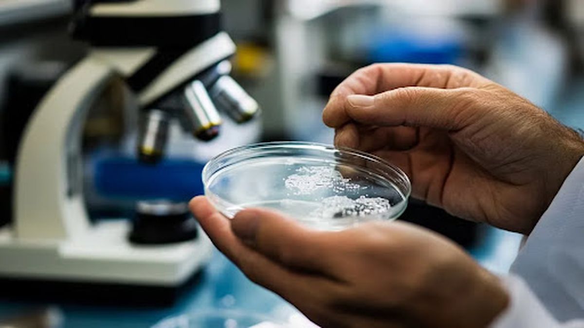 Alerta mundial: la OMS investiga en África el avance de una enfermedad desconocida Alerta mundial: la OMS investiga en África el avance de una enfermedad desconocida