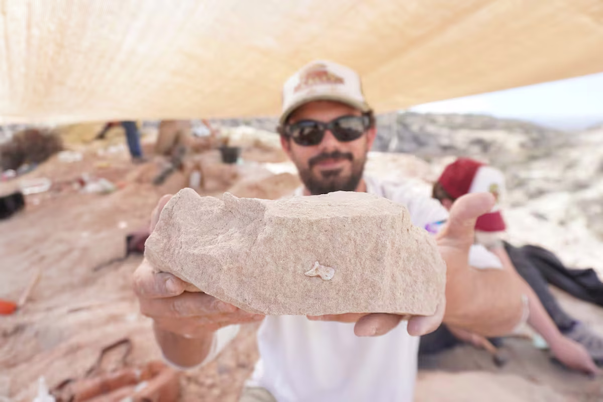 La expedición de Mar del Plata impulsó nuevos streamings de ciencia.