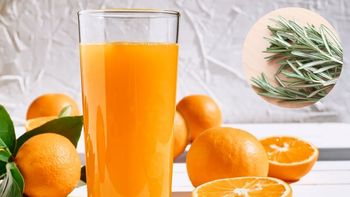 Mezclar romero con jugo de naraja: por qué recomiendan hacerlo y para qué sirve Mezclar romero con jugo de naraja: por qué recomiendan hacerlo y para qué sirve