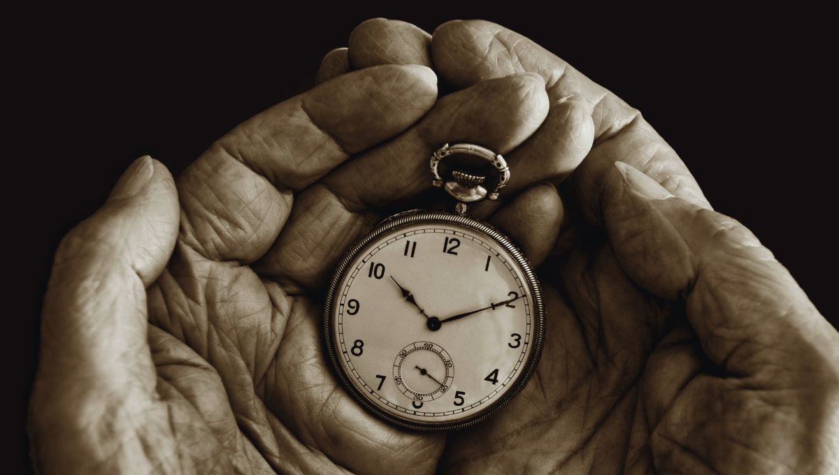 FUENTE CANVA FUENTE CANVA