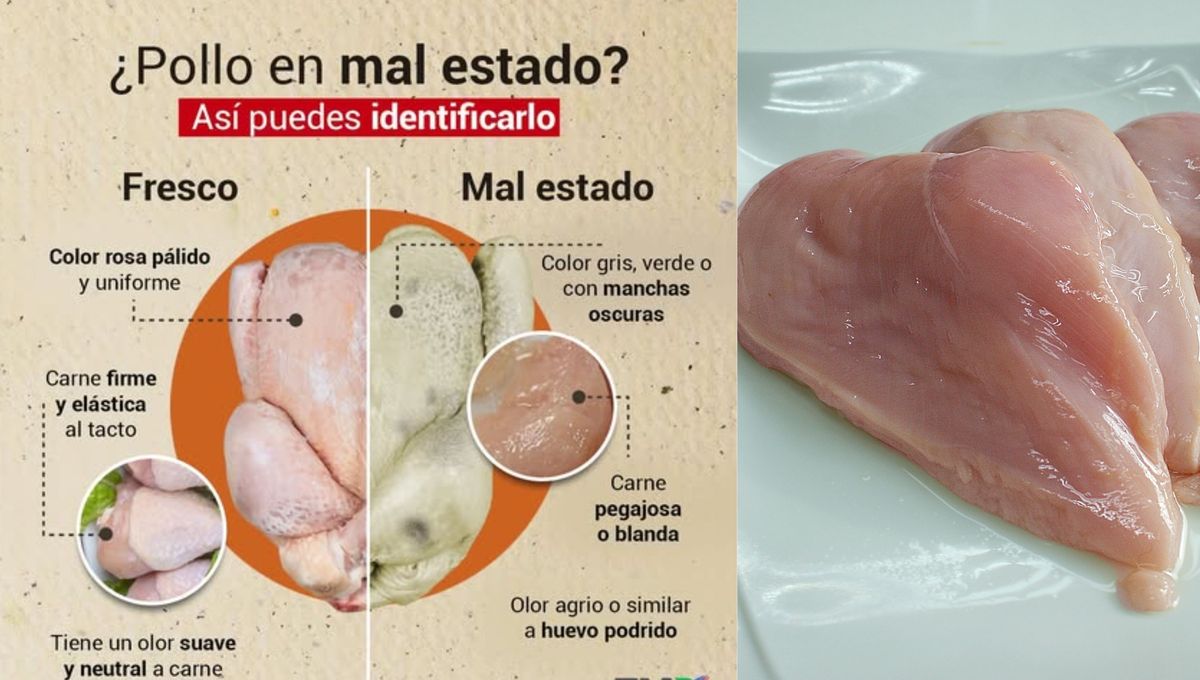 Antes de comprar o consumir pollo, revisa su estado y frescura. Antes de comprar o consumir pollo, revisa su estado y frescura. 