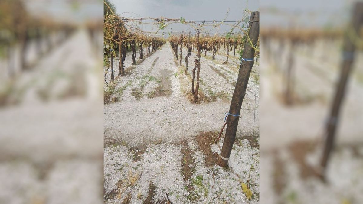 Las tormentas de granizo afectaron especialmente en Santa Rosa