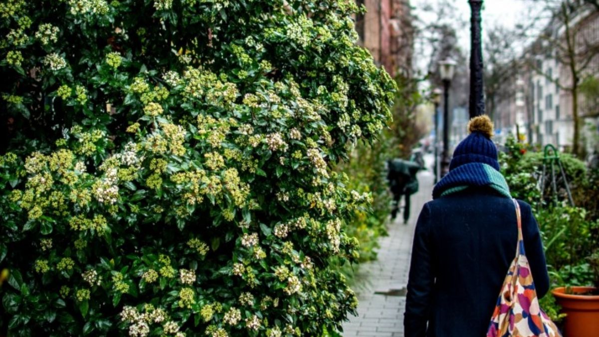 Foto: Unsplash Foto: Unsplash