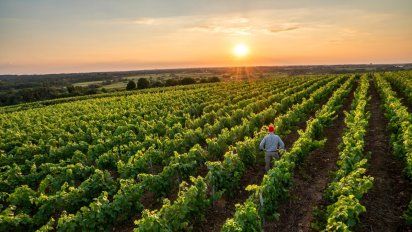 El agro mendocino es clave para economía de Mendoza. Convocan a nuevos proyectos para Mendoza Activa.