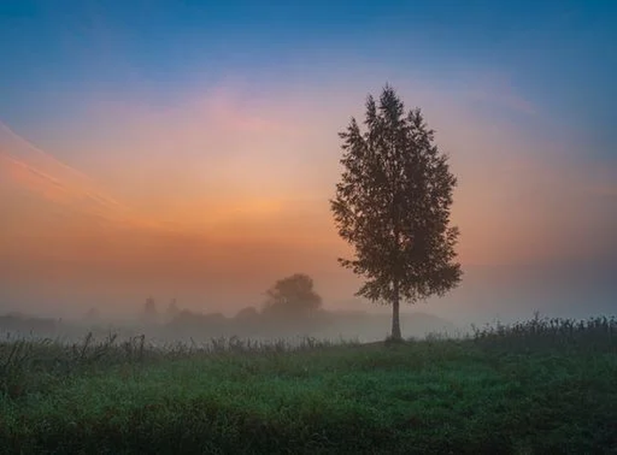  Se forma por el movimiento de aire cálido y húmedo sobre una superficie fría Se forma por el movimiento de aire cálido y húmedo sobre una superficie fría