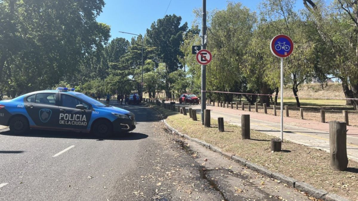 El conductor del automóvil Ford Focus chocó un cartel en Palermo
